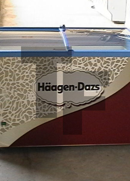Haagen Daz Framec Compact Freezers